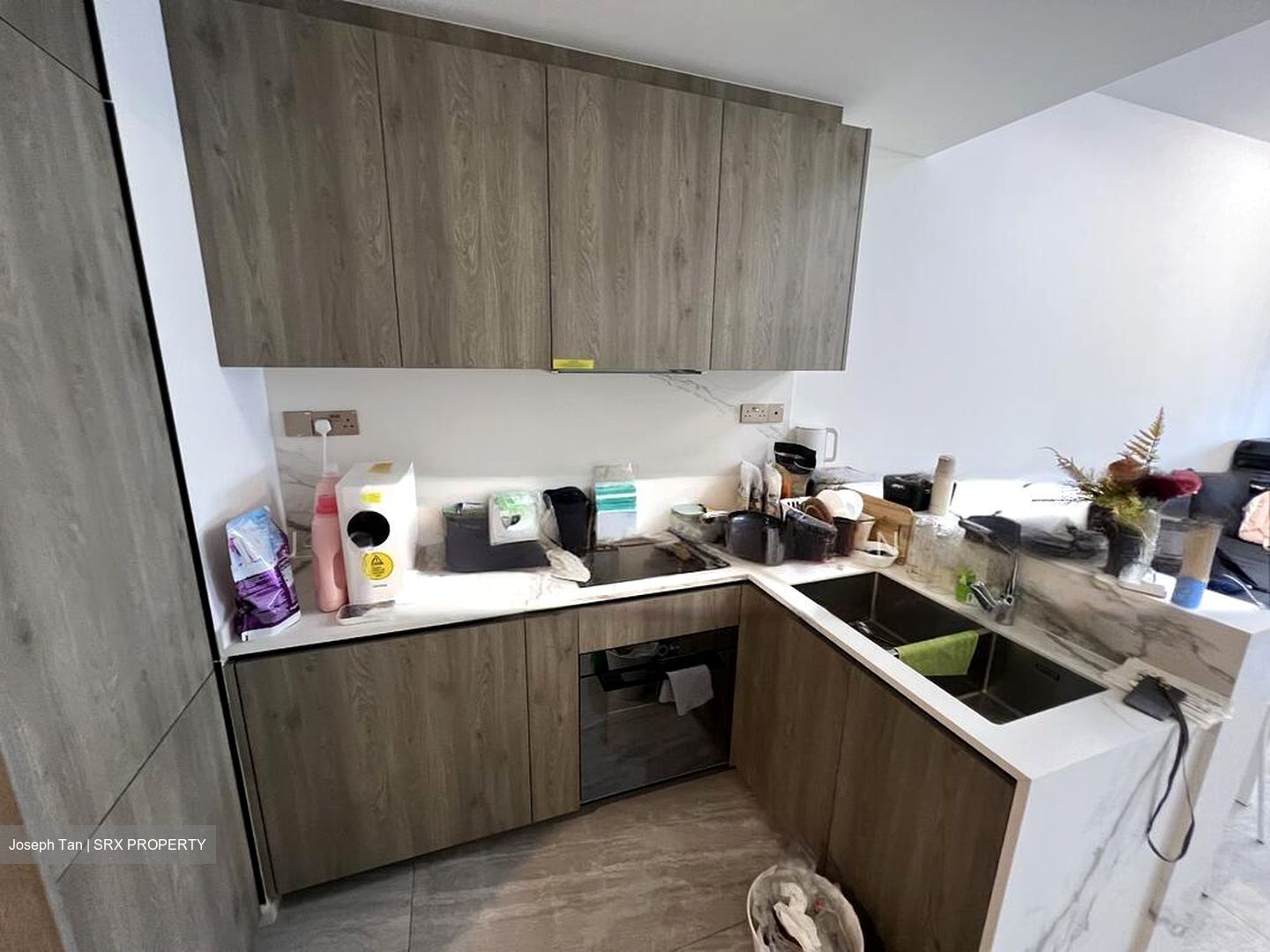 Leedon Green (D10), Condominium #486629171